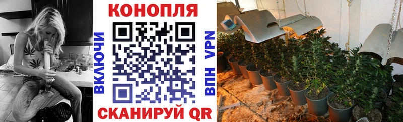 сколько стоит  Орлов  Шишки марихуана гибрид 